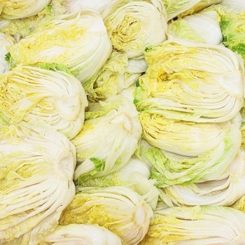 전라도 포기김치 1kg 국내산 직접키워 담근 제육수 감칠맛