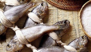 법성포 영광굴비 60미 2.9k내외